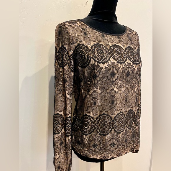 MSSP Brand/Max Studio Black & Nude Lace Detailed Long Sleeve Blouse, SIZE XS. - Picture 3 of 15